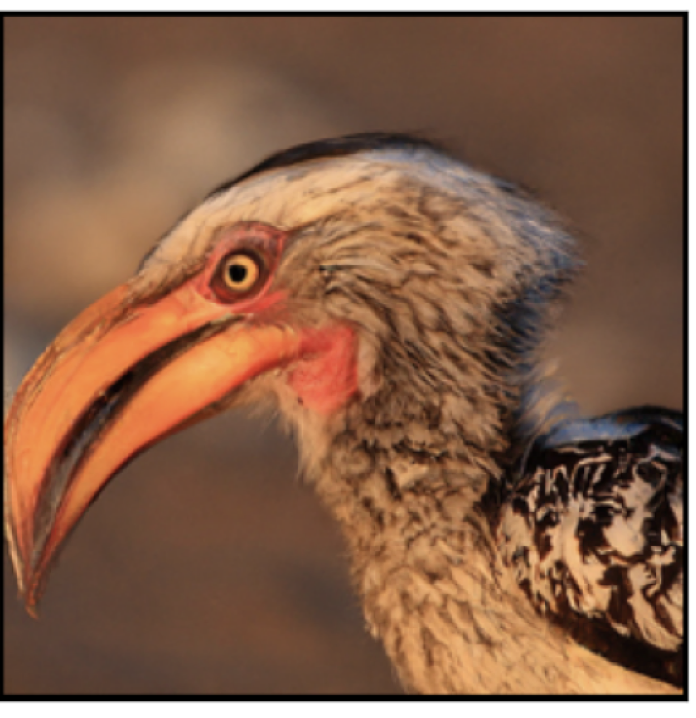 Data-Dependent Couplings